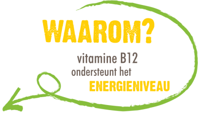 tekenen van vitamine B12 tekort Total Body Program